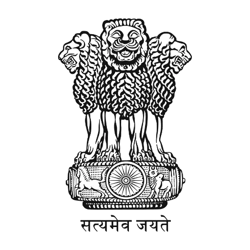Nation Emblem logo